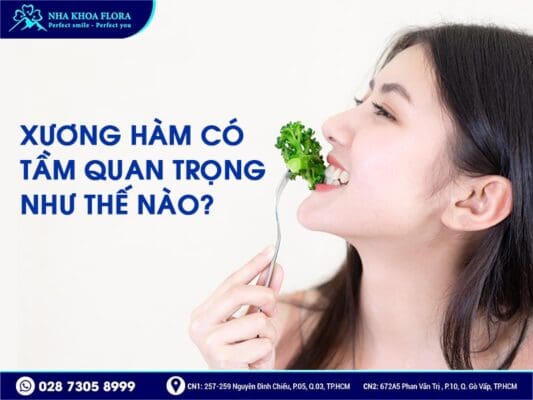 mất răng bao lâu thì bị tiêu xương hàm - ảnh 3