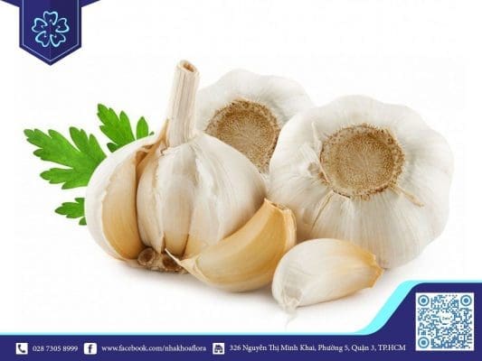 Tỏi giúp giảm đau khi mọc răng khôn hiệu quả (ảnh minh họa)