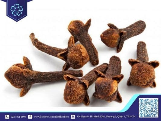 Đinh hương giúp giảm cơn đau răng khôn hiệu quả (ảnh minh họa)