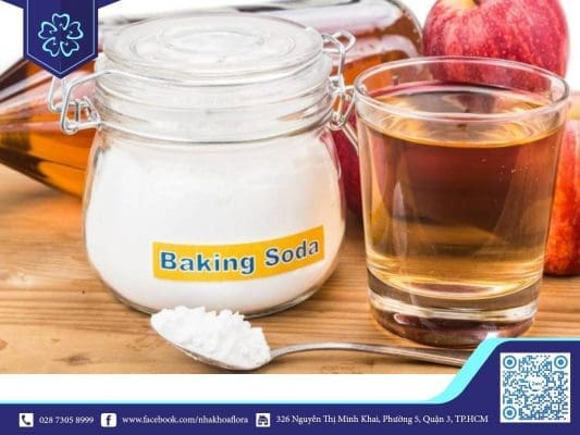 Chữa hôi miệng hiệu quả bằng baking soda và giấm táo (ảnh minh họa)