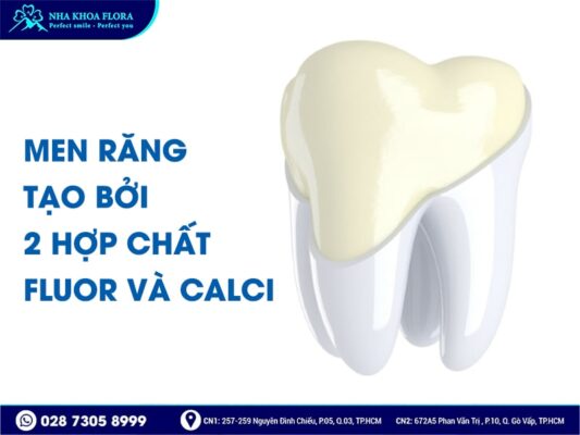 những điều cần biết về răng - ảnh 4