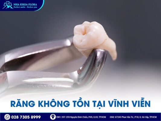 những điều cần biết về răng - ảnh 5
