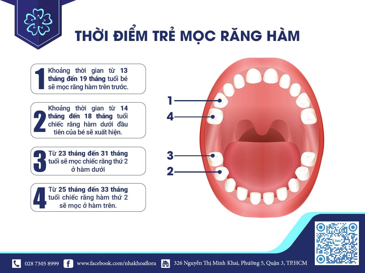 thời điểm trẻ mọc răng hàm