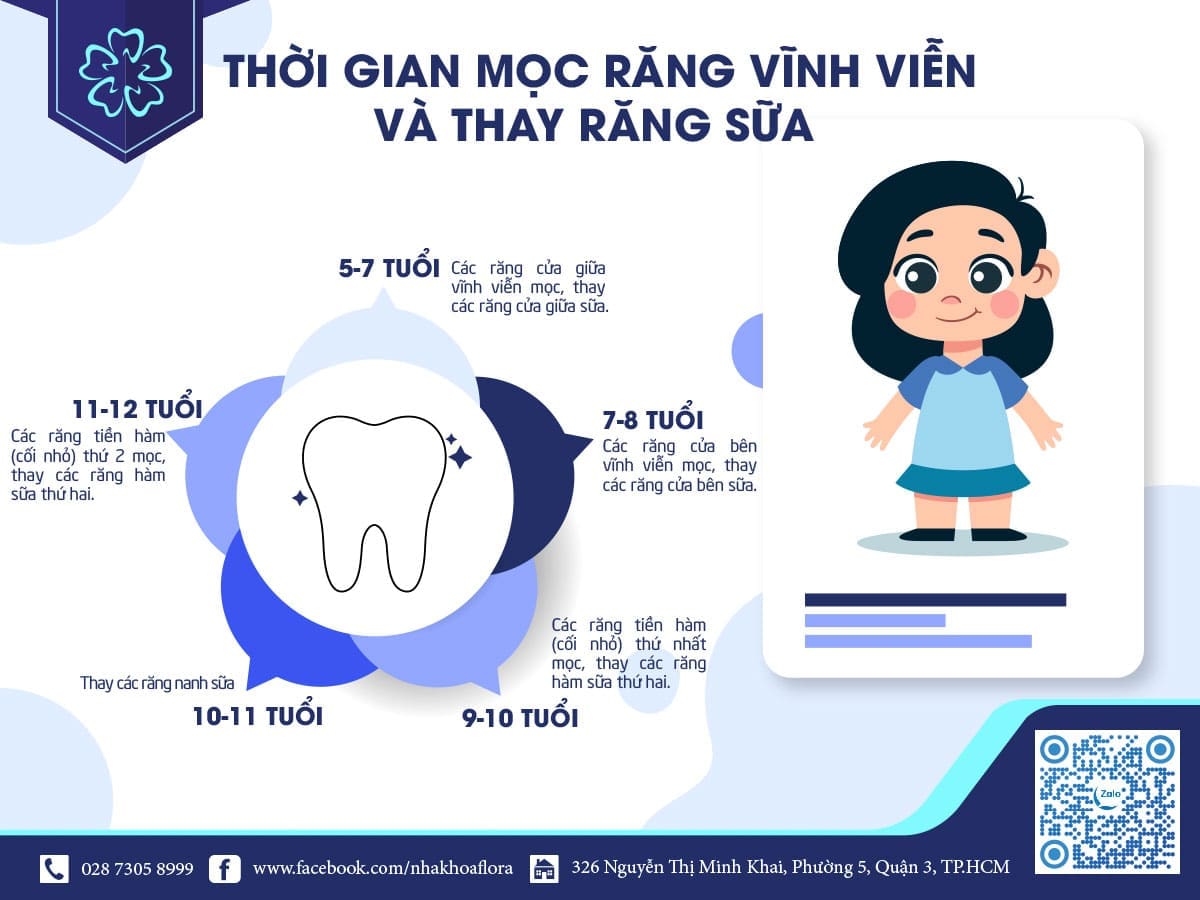 thời gian mọc răng vĩnh viễn và thay răng sữa