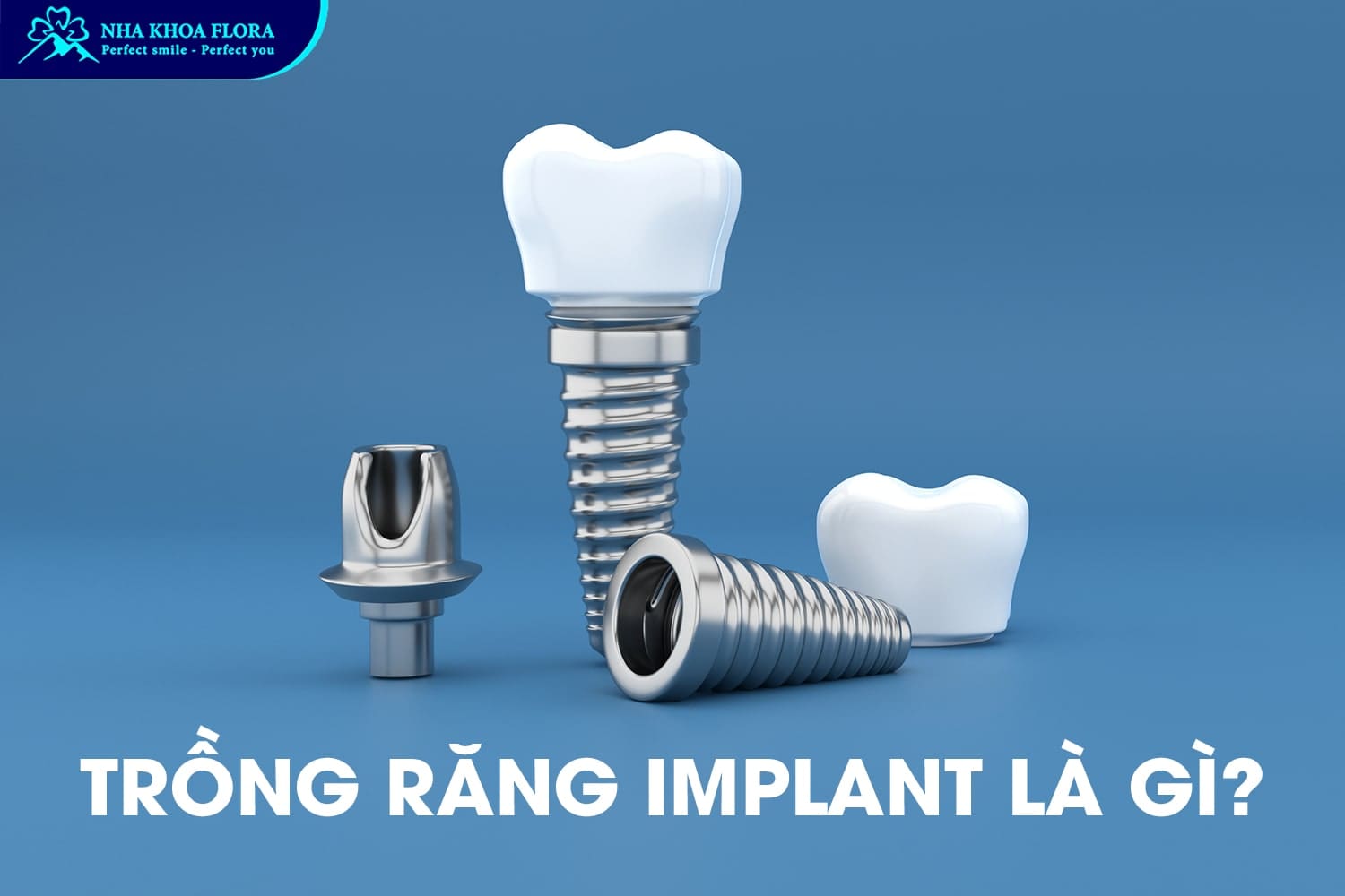 Nên Trồng Răng Sứ Hay Implant? Lựa Chọn Nào Tốt Nhất? - ảnh 2 Nên Trồng Răng Sứ Hay Implant? Lựa Chọn Nào Tốt Nhất? - ảnh 2