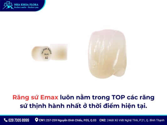 răng sứ Emax - ảnh 6 răng sứ Emax - ảnh 6