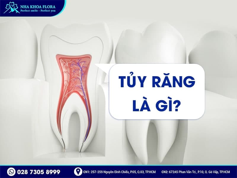 Bọc răng sứ sau khi lấy tủy - ảnh 1