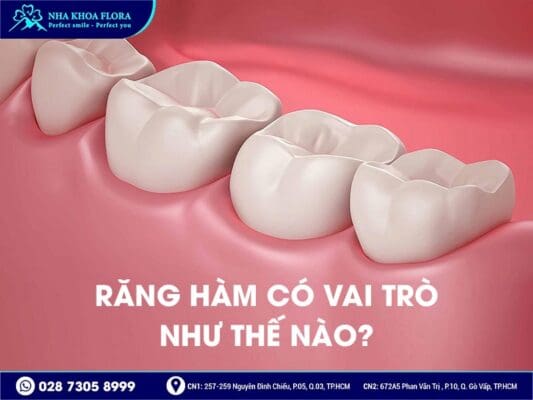 mất răng hàm lâu năm - ảnh 1