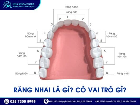 Mất răng nhai nên trồng răng Implant hay bắc cầu răng sứ? - ảnh 1