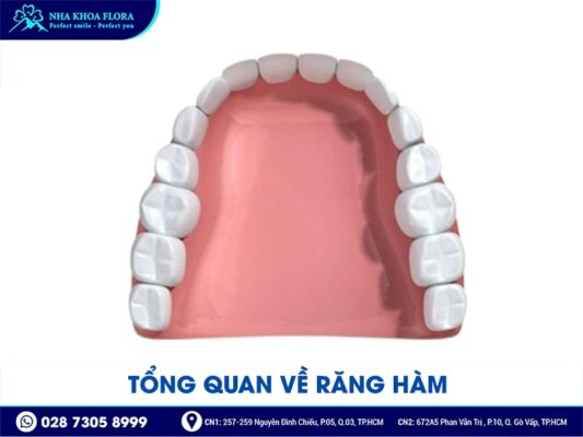 răng hàm có thay không - ảnh 1