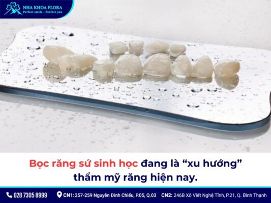 Bọc răng sứ sinh học - ảnh 1