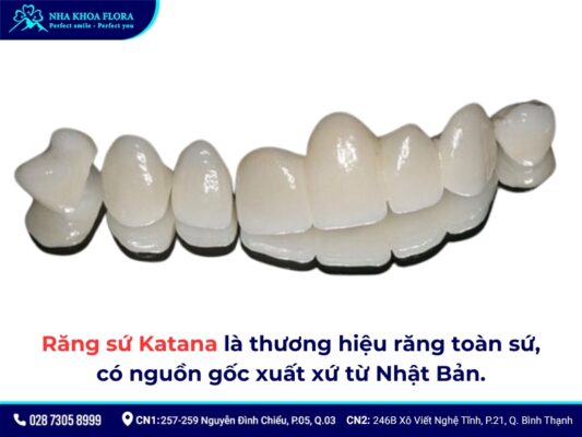 Sứ Katana - ảnh 1