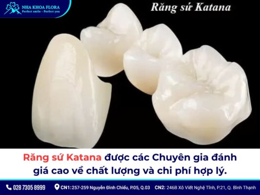 Sứ Katana - ảnh 2