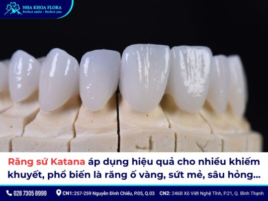 Sứ Katana - ảnh 3